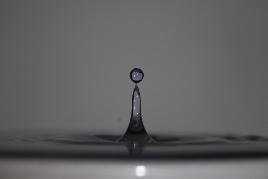 img_9145.jpg img_9145.jpg